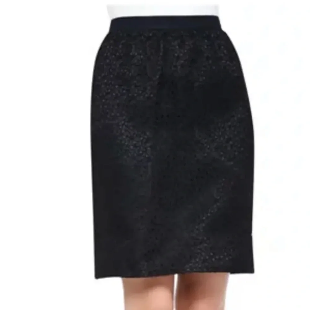 Jason Wu Lace Skirt sz 6